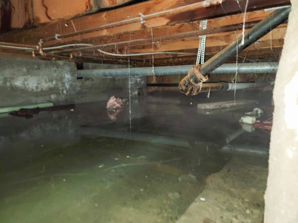 Best Water damage cleanup near me  in Bartlesville, OK