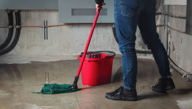Best Basement water damage restoration  in Bartlesville, OK