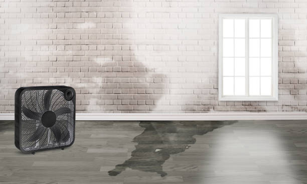 Best Water damage restoration services  in Bartlesville, OK
